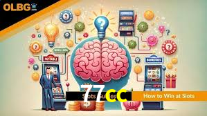 Experiência VIP 77cc